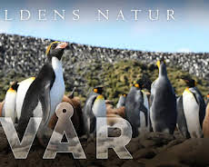 Världens natur: Vår