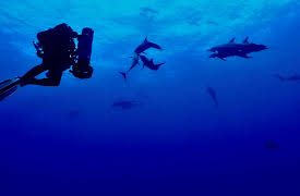 The Bermuda Triangle: Into Cursed Waters Season 1: Spies in the Deep