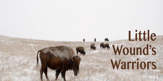 Little Wound's Warriors (2017)