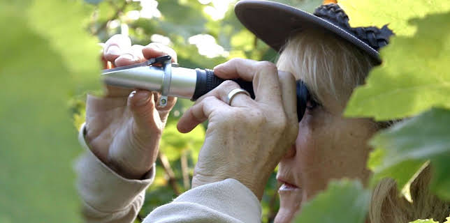 05:05: Die wunderbare Welt der Weine (7/10) | Arte | 1/31 2026