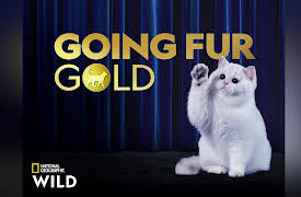 Going Fur Gold: Paws of Glory