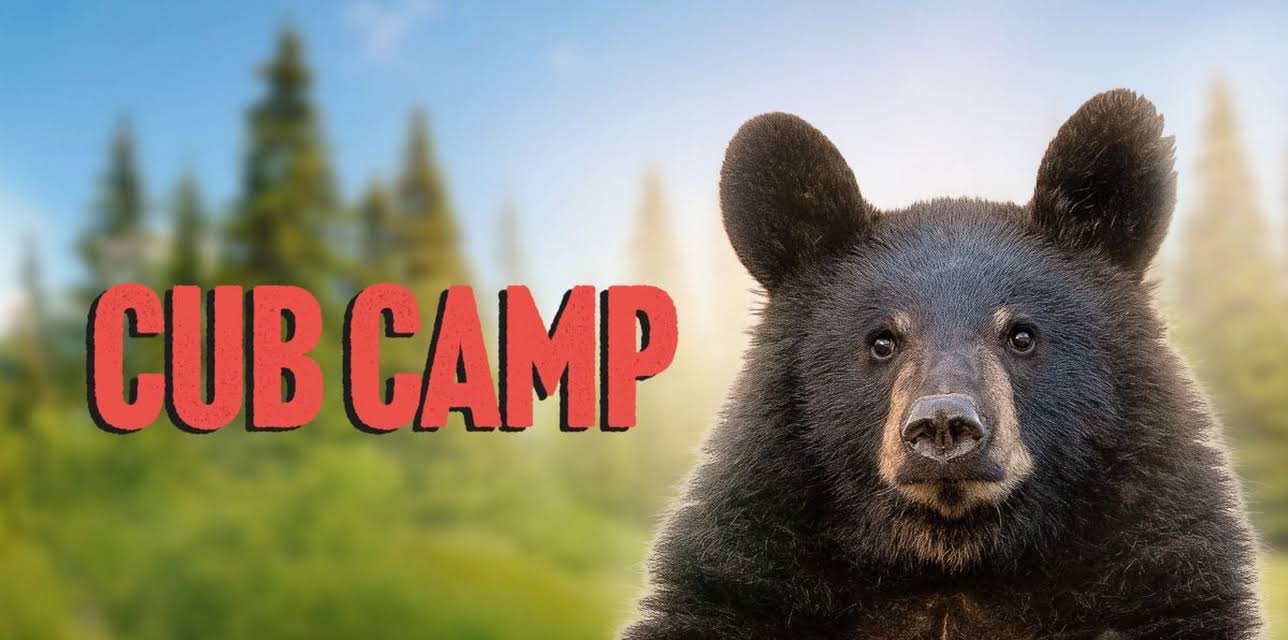Cub Camp