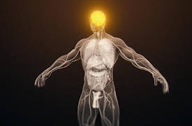 Science of Drugs With Richard Roxburgh: Medicinal Mindbenders