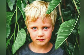 Human Nature: Leadership, Empathy and Tranquility