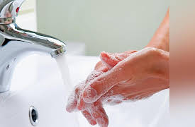 An Introduction to Infectious Diseases: Which Germs in Your Daily Life Matter?