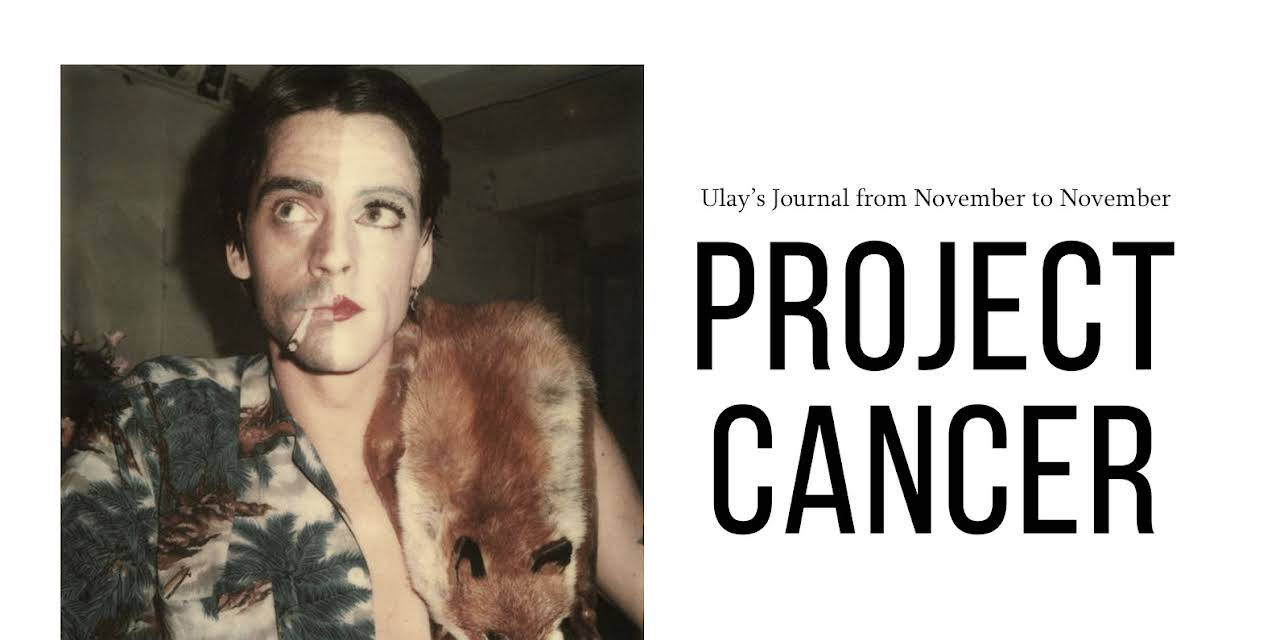 Project Cancer (2013)