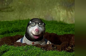 Bingo & Molly: Ranger Big Bunny