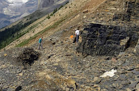 A New History of Life: Window to a Lost World - The Burgess Shale
