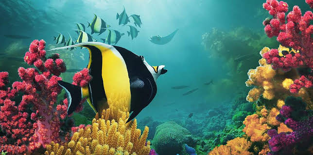 4:35 PM: Asia (S1) | BBC One Northern Ireland | 1/18 2026