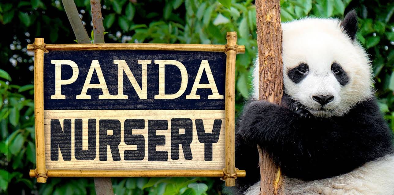 Panda Nursery (2007)