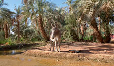 Länder - Menschen - Abenteuer