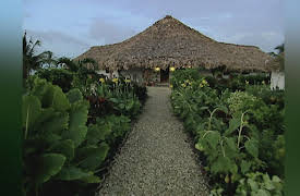 House Hunters International: Classic, Season 1: Belize Bound