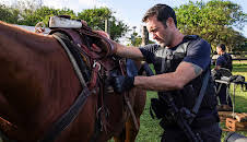 Hawaii Five-0 (S10 E19)