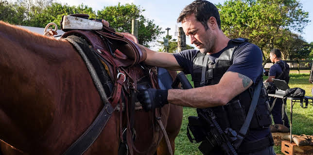 18:05: Hawaii Five-0 (S10 E19) (S10) | TV6 | 3/12 2026