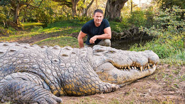 4:00 PM: Killer Crocs with Steve Backshall (S1 E1) (S1) | Channel 5 | 8/16 2026