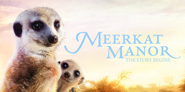 Meerkat Manor: The Story Begins (2008)