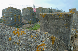 Walking Through History: Frontline Dorset