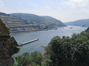 11:50: Entlang des Rheins | 3SAT | 3/30 2026