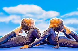 McClure Twins: Twin Vs. Twin Gymnastics Challenge!