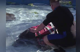 Sea Rescue: Sea Rescue - Cold Cases