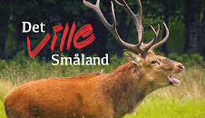 Det ville Småland