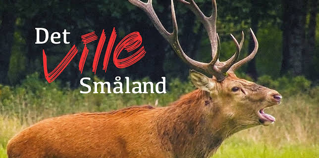 12:45: Det ville Småland | NRK 1 | 12/14 2025