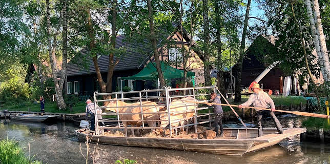 16:00: Hofgeschichten - von Spreewaldbauer und Binnenfischer | RBB Fernsehen | 3/21 2026