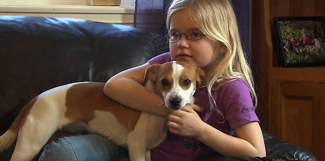 11:55: Klart eg kan: Hundekonkurransen | NRK Super | 1/28 2026