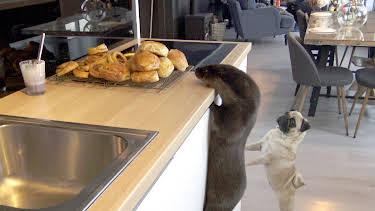 09:45: Oteren Svenn: Bollebaking | NRK Super | 4/5 2026