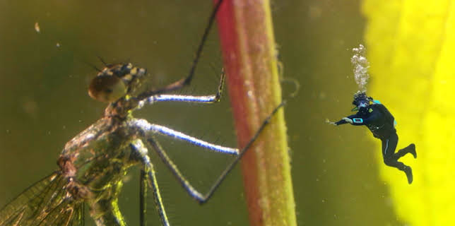 10:55: Andys ville vasseventyr: Andy og vassnymfene | NRK Super | 1/28 2026