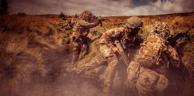 Soldier: For King and Country