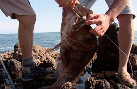 Gone Fishin S4: Heli-Fishing