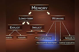 The Learning Brain: Introduction to Working Memory