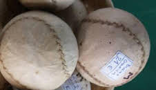 Pelota mano en Castilla y León