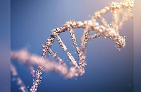 Unlocking the Hidden History of DNA: The Double Helix Revealed
