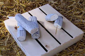 French delicatessen: The sainte maure cheese of touraine