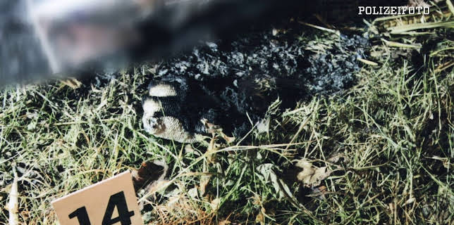 11:30: Ermittler! | ZDFinfo | 11/6 2025