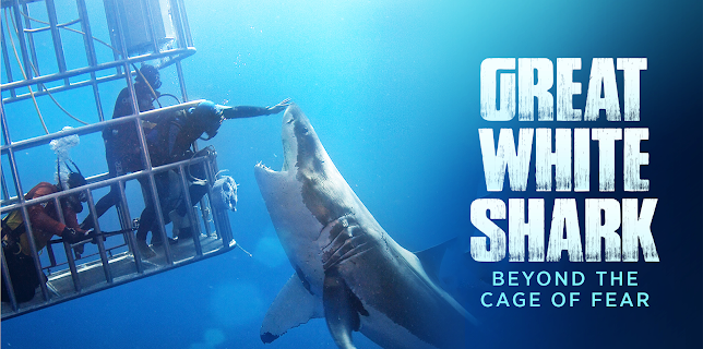 Great White Shark: Beyond the Cage of Fear (2013)