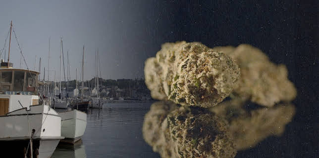 23:15: Drogen-Land - Provinz im Rausch | ZDFinfo | 11/19 2025