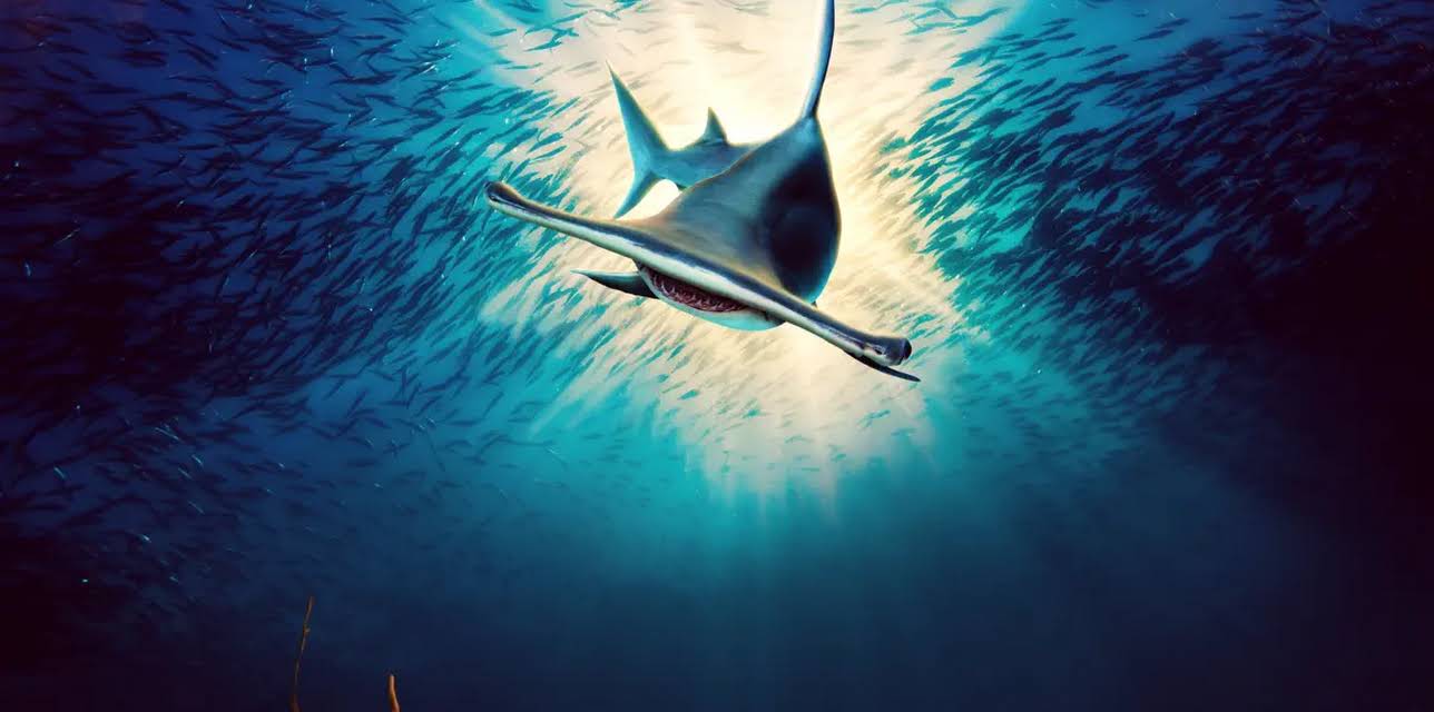 Monster Hammerheads: Killer Instinct (2023)