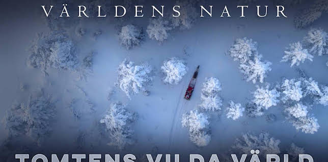 20:00: Världens natur: Tomtens vilda värld | SVT2 | 12/10 2025
