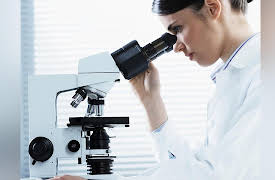 The Nature of Matter: Understanding the Physical World: A New Theory of Matter