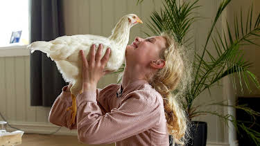 11:50: Klart eg kan: Kyllingbursdag | NRK Super | 4/27 2026