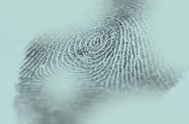 Killer at the Crime Scene Season 1: Sinead Healy