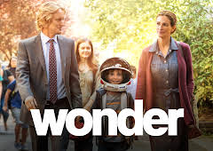 Wonder