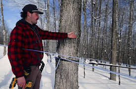 Skates Off: Episode 1