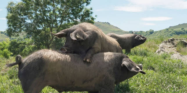 19:40: 360° Reportage | Arte | 2/28 2026