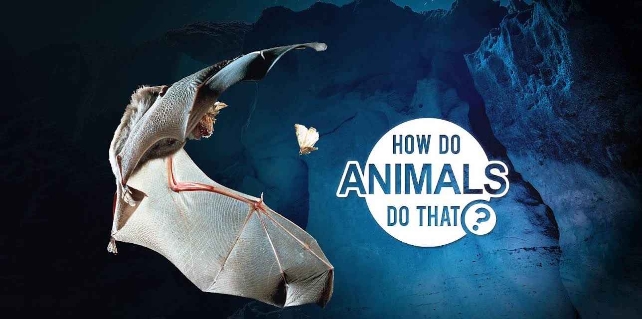 How Do Animals Do That? Season 1