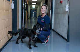 Animal Emergency: Episode 1