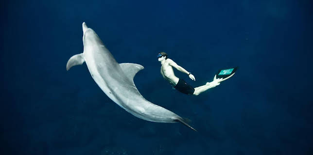 00:45: Magisches Mittelmeer (2/2) | RBB Fernsehen | 3/25 2026